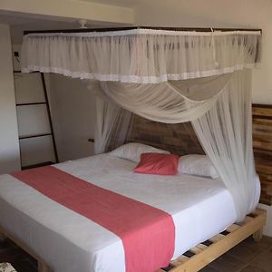 Habitación Estándar con Cama King